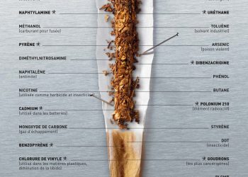 découvrez les dangers du tabagisme pour la santé en 2025. informez-vous sur les risques accrus de maladies graves et sur les moyens de lutter contre cette addiction nuisible.