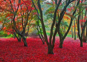 découvrez comment société générale dynamise votre épargne et vos investissements grâce à des solutions innovantes et personnalisées pour faire fructifier votre patrimoine.