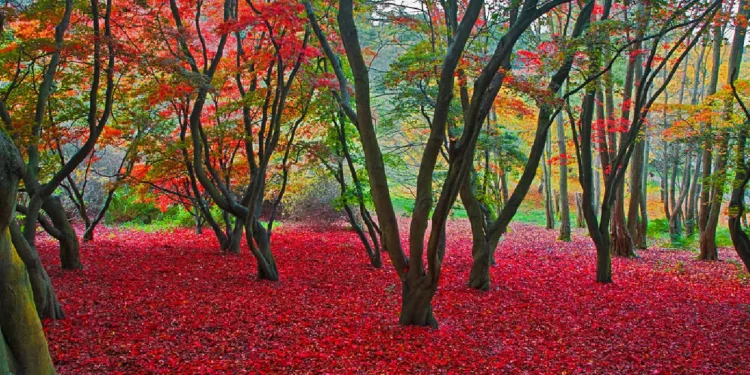 découvrez comment société générale dynamise votre épargne et vos investissements grâce à des solutions innovantes et personnalisées pour faire fructifier votre patrimoine.